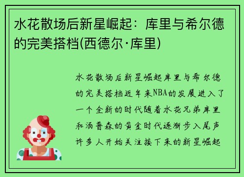 水花散场后新星崛起：库里与希尔德的完美搭档(西德尔·库里)