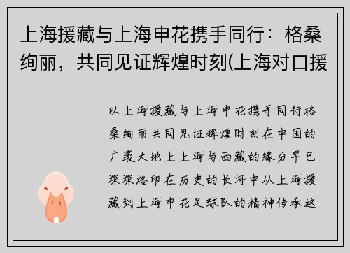 上海援藏与上海申花携手同行：格桑绚丽，共同见证辉煌时刻(上海对口援藏)